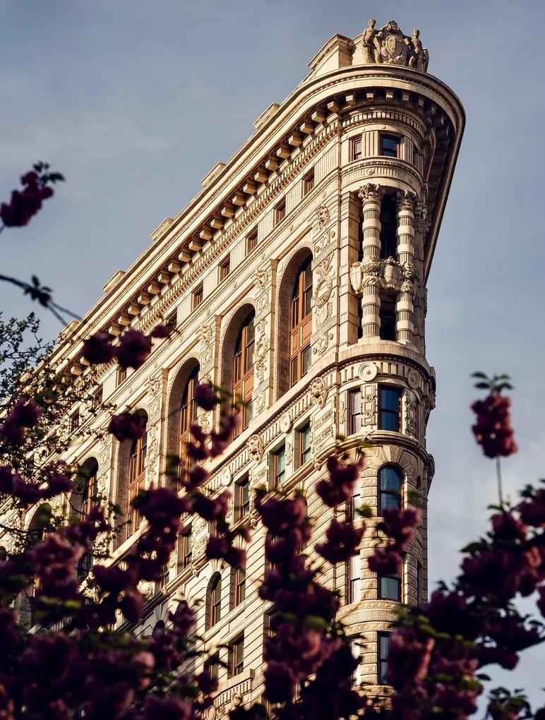 The Flatiron Building rising behind spring blossoms in New York